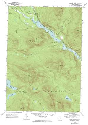Chain of Ponds USGS topographic map 45070c6