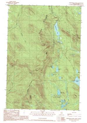 Northwest Pond USGS topographic map 45070c7