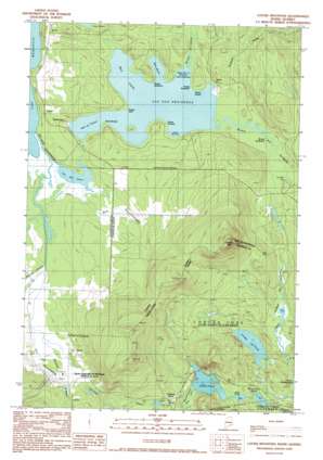 Louise Mountain USGS topographic map 45070d7