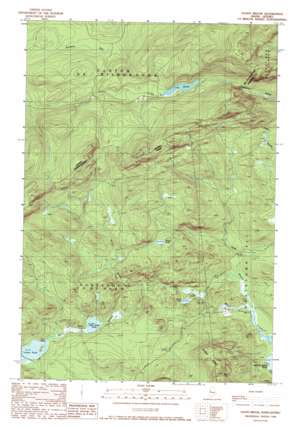 Stony Brook topo map