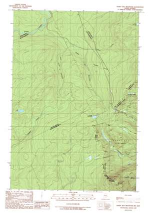 Sandy Bay Mountain USGS topographic map 45070g4
