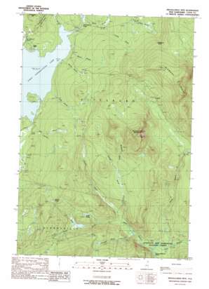 Magalloway Mountain USGS topographic map 45071a2