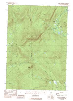 Rump Mountain USGS topographic map 45071b1