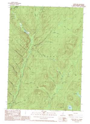 Cowen Hill USGS topographic map 45071b3