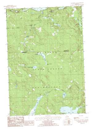 Cranberry Lake USGS topographic map 45084b1