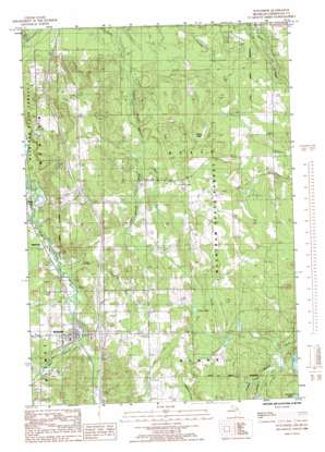 Wolverine USGS topographic map 45084c5