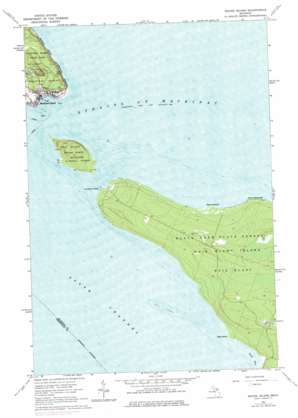 Round Island USGS topographic map 45084g5