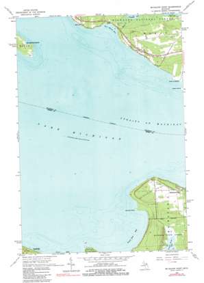 McGulpin Point USGS topographic map 45084g7