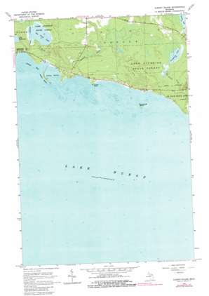 Albany Island USGS topographic map 45084h1
