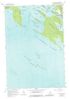 Goose Island topo map