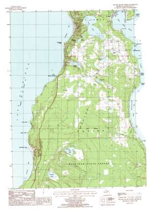 Beaver Island North USGS topographic map 45085f5