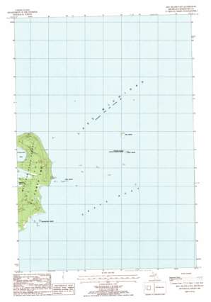 Hog Island East USGS topographic map 45085g3