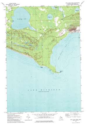 Seul Choix Point USGS topographic map 45085h8