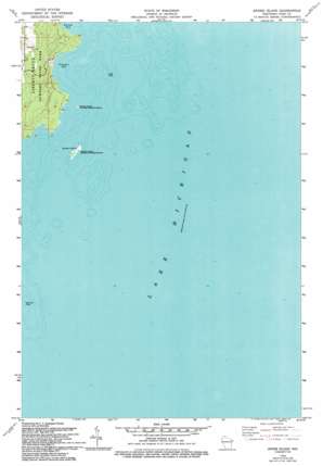 Spider Island USGS topographic map 45086b8