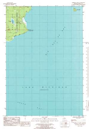 Chippewa Point USGS topographic map 45086f7