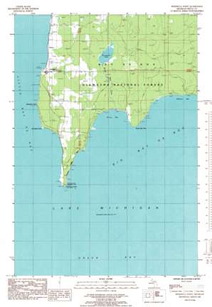 Peninsula Point USGS topographic map 45086f8