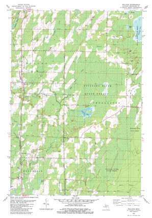 Wallace USGS topographic map 45087c5