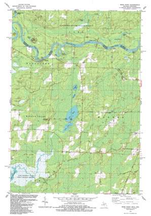 Bear Point USGS topographic map 45087c7