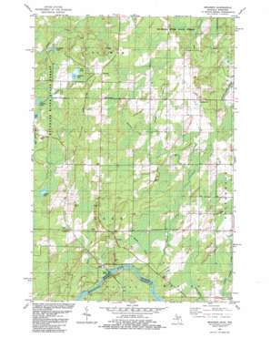 Swanson USGS topographic map 45087d6