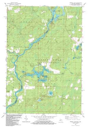 Resort Lake USGS topographic map 45087d7