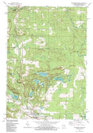 Wausaukee North USGS topographic map 45087d8