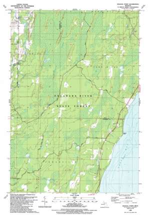 Seagull Point USGS topographic map 45087e3