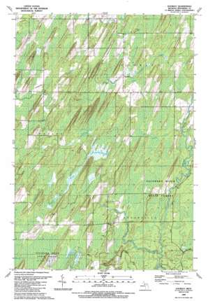 Gourley USGS topographic map 45087e4