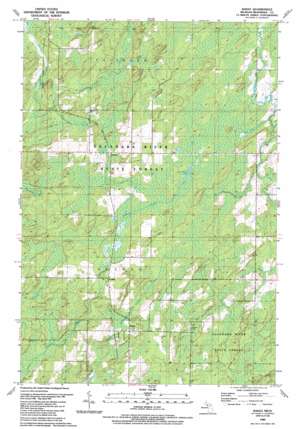 Banat USGS topographic map 45087e6
