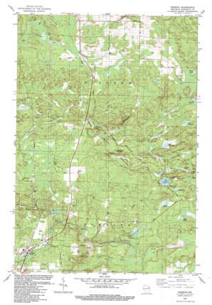 Pembine USGS topographic map 45087f8