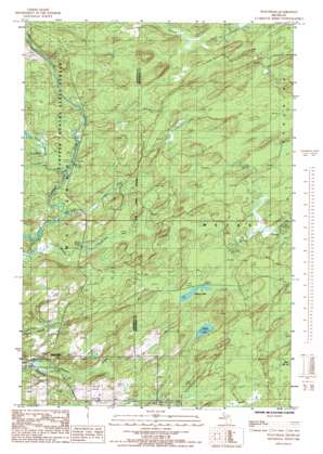 Waucedah USGS topographic map 45087g6