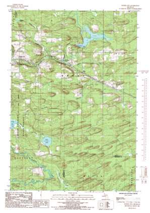Foster City USGS topographic map 45087h6