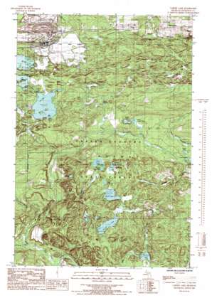 Carney Lake USGS topographic map 45087h8
