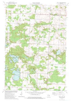 Kelly Lake USGS topographic map 45088a2