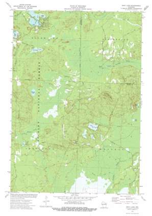 Shay Lake USGS topographic map 45088b3