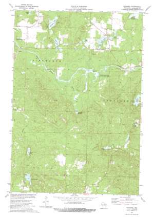 Pickerel USGS topographic map 45088c8