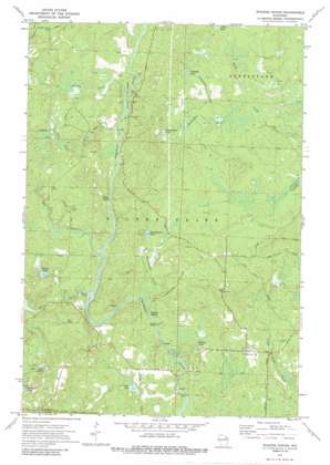 Roaring Rapids USGS topographic map 45088d3