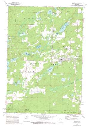 Wabeno USGS topographic map 45088d6
