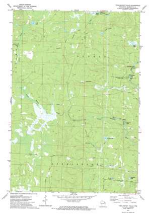 Twelvefoot Falls USGS topographic map 45088e2