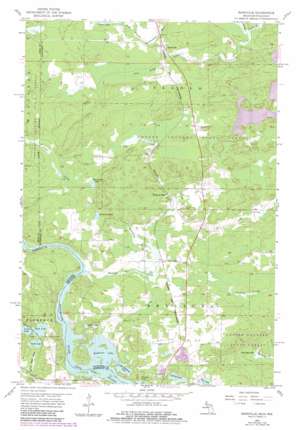 Randville USGS topographic map 45088h1