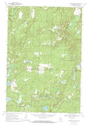 Long Lake NE USGS topographic map 45088h5