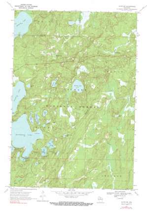 Alvin NW USGS topographic map 45088h8