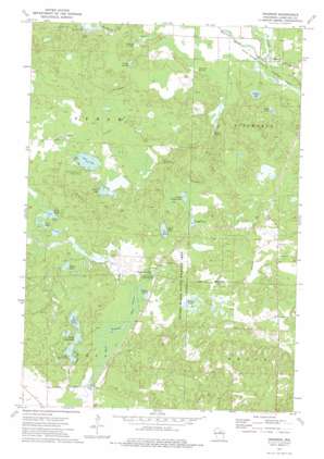 Pearson USGS topographic map 45089c1