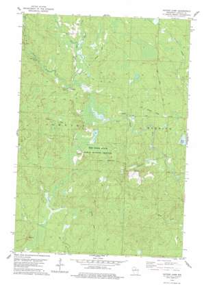 Natzke Camp USGS topographic map 45089c8