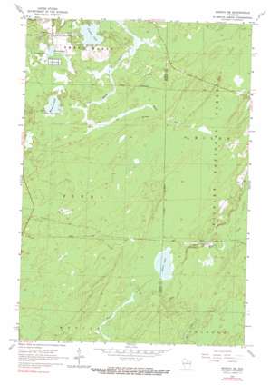 Monico NE USGS topographic map 45089f1