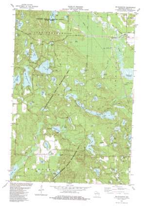 McNaughton USGS topographic map 45089f5