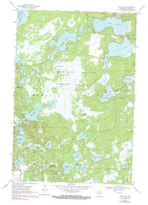 Dam Lake USGS topographic map 45089g4