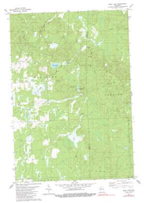 Wood Lake USGS topographic map 45090c1