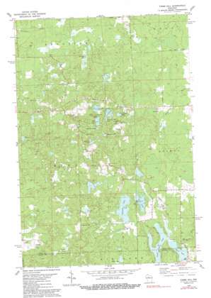 Timms Hill topo map