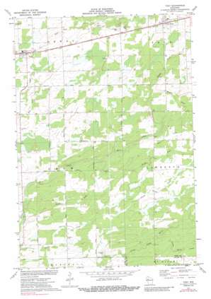 Tony USGS topographic map 45090d8