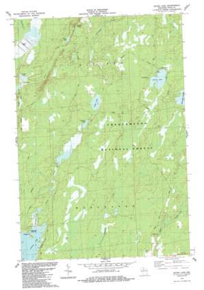 Gates Lake USGS topographic map 45090g3